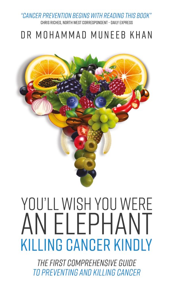 You’ll Wish You Were an Elephant by Dr Mohammad Muneeb Khan front cover