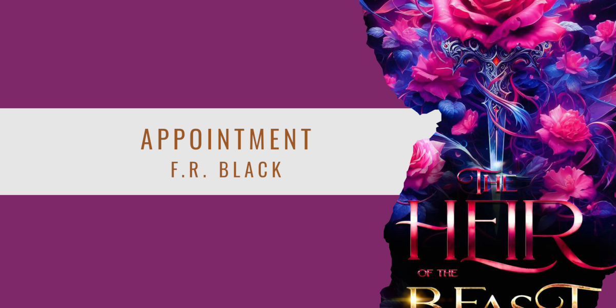 Author F.R. Black appoints book PR agency Palamedes to promote the Fairy Godmother Inc. Series.